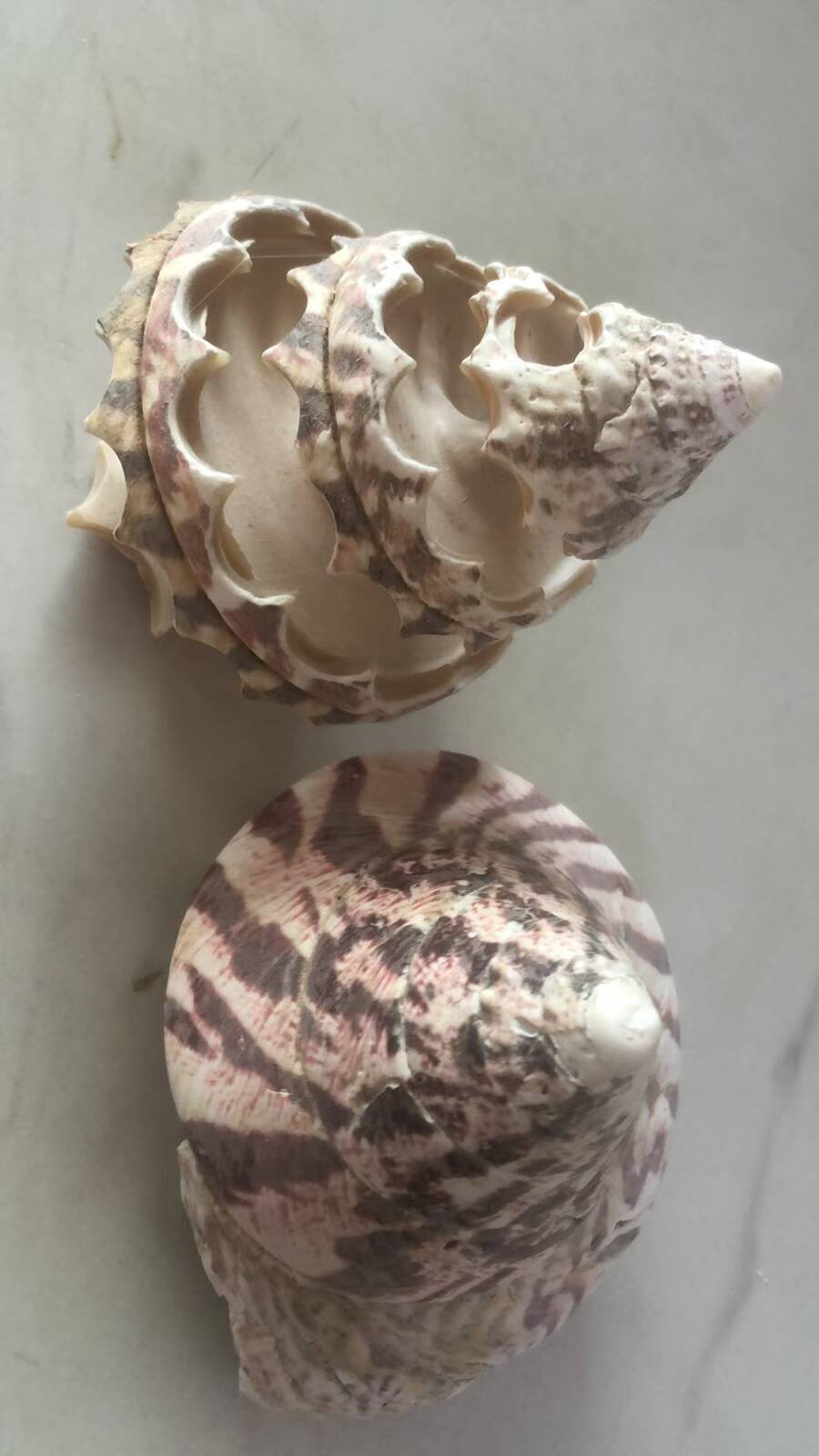 cb10ae8bacb91910c0a6ffcc0ebdf630_1732764944_8212.jpg cb10ae8bacb91910c0a6ffcc0ebdf630_1732764944_8212.jpg