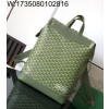 [리미티드] 고야드 시스알팡 백팩 그린 33*43*14cm